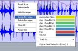 Read Tutorial - Blue Cat's Digital Peak Meter Pro & Automation In Sonar - Automated Audio to Automation Generation