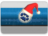 December Deals: Up to 50% Off!